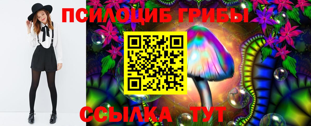 магазин    Галлюциногенные грибы Psilocybine cubensis  Вход с VPN  Пыть-Ях  Галлюциногенные грибы мухоморы 